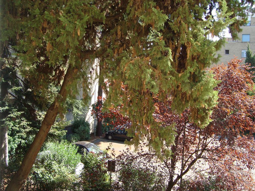 Villa Sciarra 罗马 客房 照片
